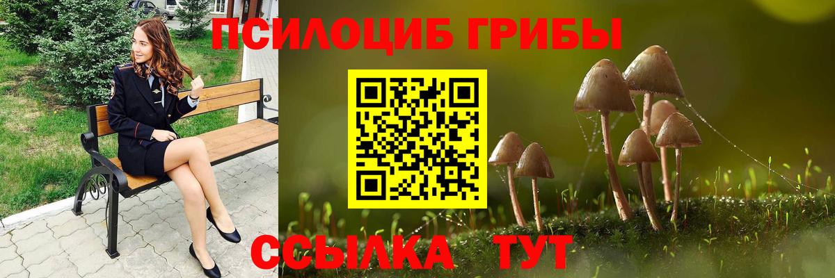 Галлюциногенные грибы Psilocybe Тамбов